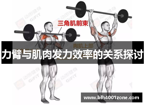 力臂与肌肉发力效率的关系探讨