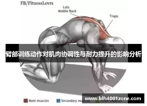 臂部训练动作对肌肉协调性与耐力提升的影响分析