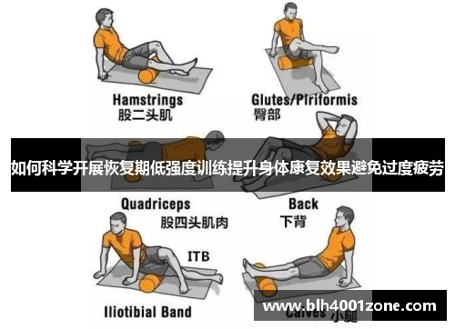如何科学开展恢复期低强度训练提升身体康复效果避免过度疲劳
